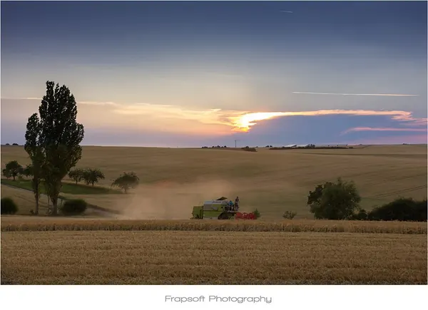 Harvesting the Fields - photo 4