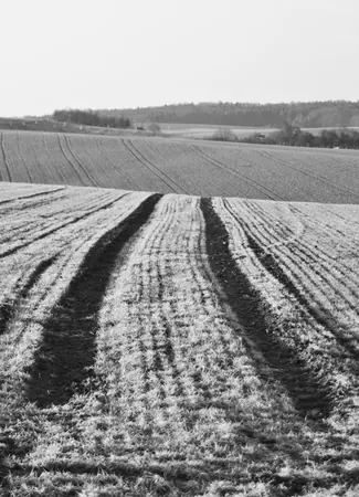 Rossach - photo 2
