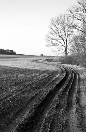 Rossach - photo 5