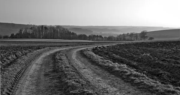 Rossach - photo 6