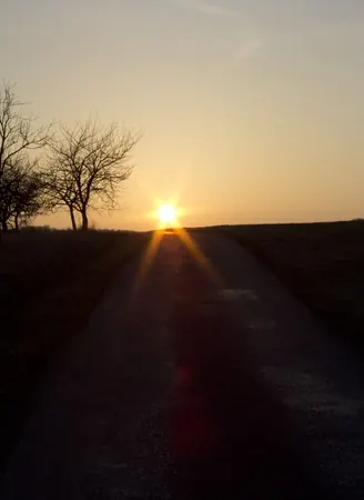 Rossach - photo 8