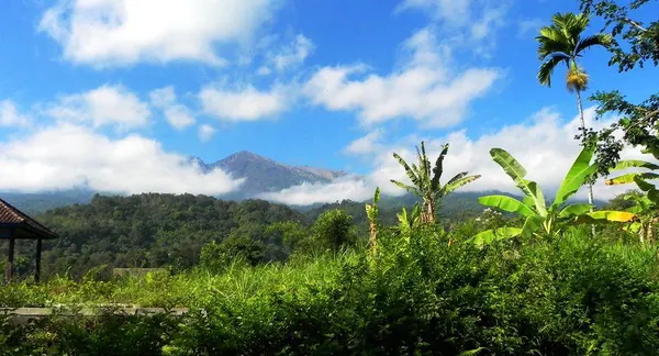 Hiking Rinjani Volcano - photo 2