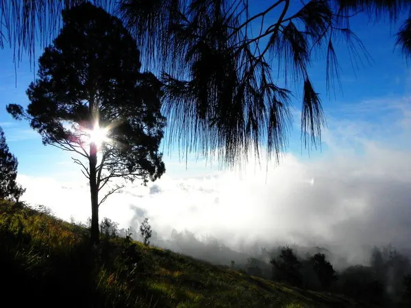 Hiking Rinjani Volcano - photo 4