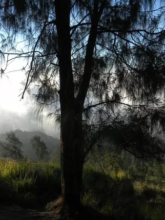 Hiking Rinjani Volcano - photo 5