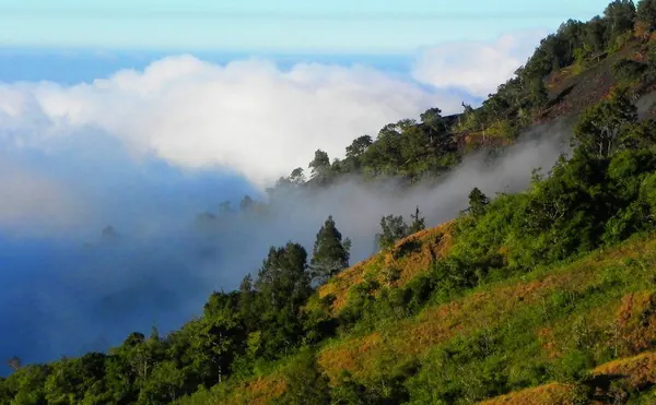 Hiking Rinjani Volcano - photo 6