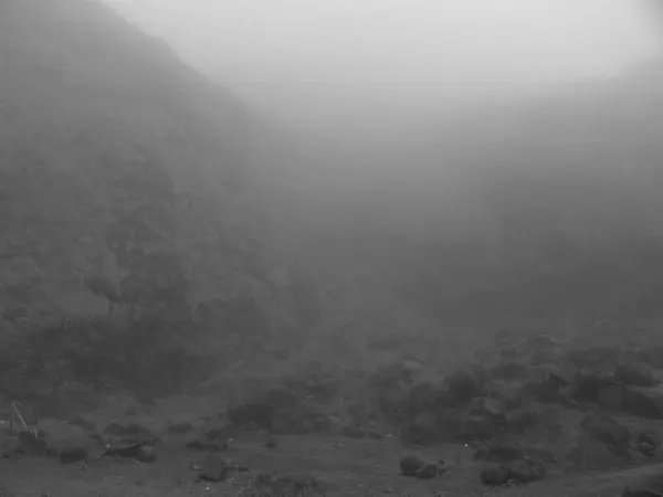 Hiking Rinjani Volcano - photo 21
