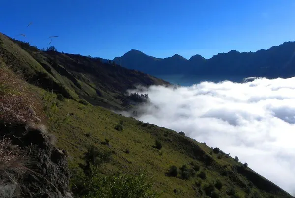 Hiking Rinjani Volcano - photo 24