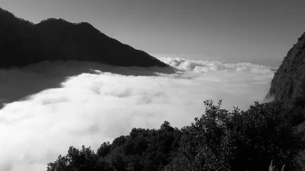 Hiking Rinjani Volcano - photo 25