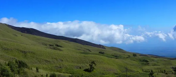 Hiking Rinjani Volcano - photo 32