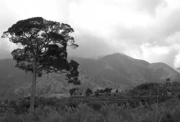 Hiking Rinjani Volcano - photo 33