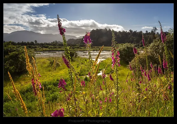 Hiking Down the Tatare Stream – Part III