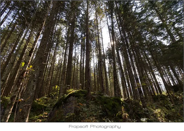 Hintersee – Part IV - photo 2