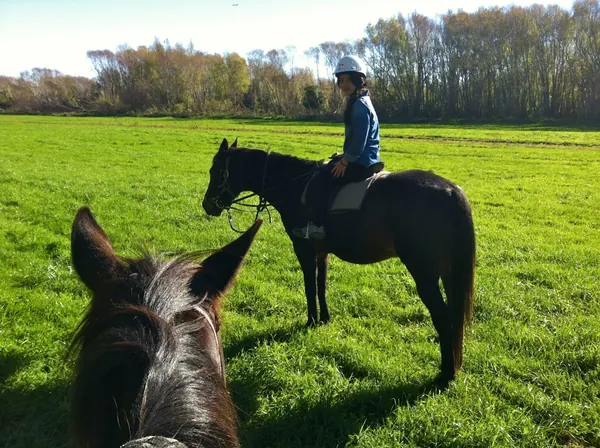 Horse Riding in New Zealand - photo 4