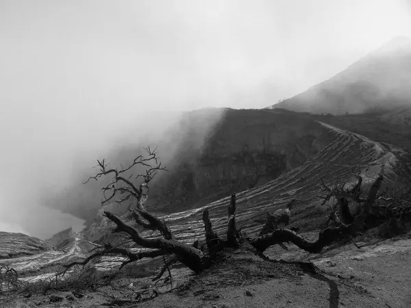 Hiking: Ijen Crater (Jawa) - photo 4