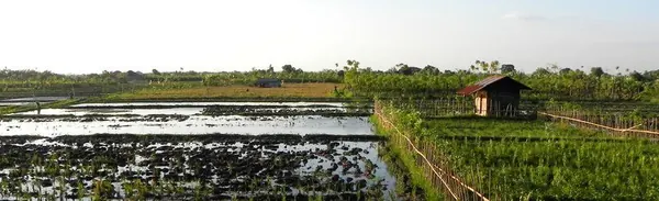 Kakadu National Park – Trip 3 - photo 18