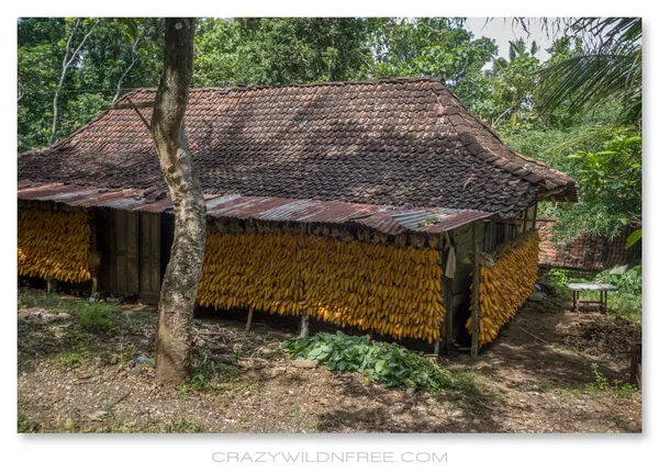 Java Mountains – Part II - photo 4