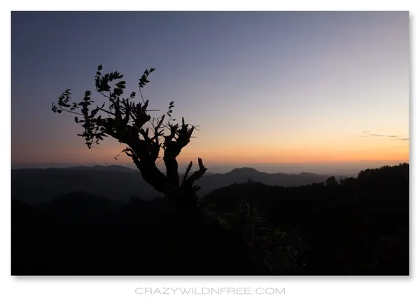Roadtrip Java – Part I