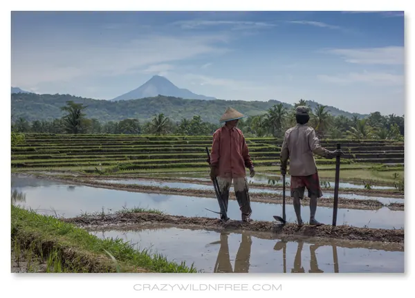 Roadtrip Java – Part I - photo 2