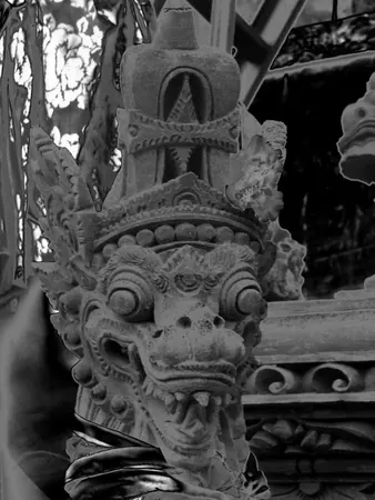 Transit Indonesia (bali) - photo 2