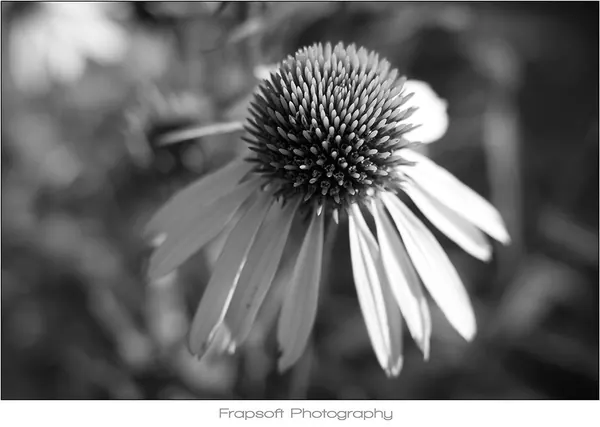 Jagsttal – Part III - photo 3
