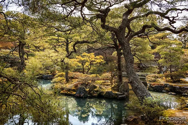 Japan Mixed