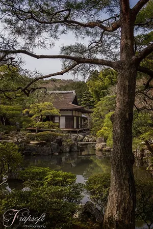 Japan Mixed - photo 2