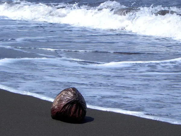 Time to Explore a New Island! Jawa - photo 11