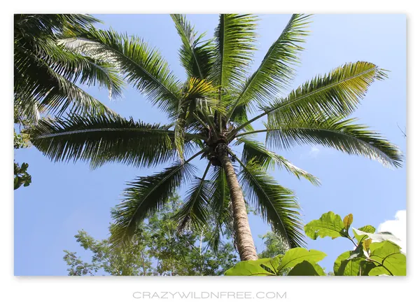 Java Seaside – Part I - photo 3