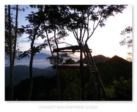 Roadtrip Java – Part II - photo 2