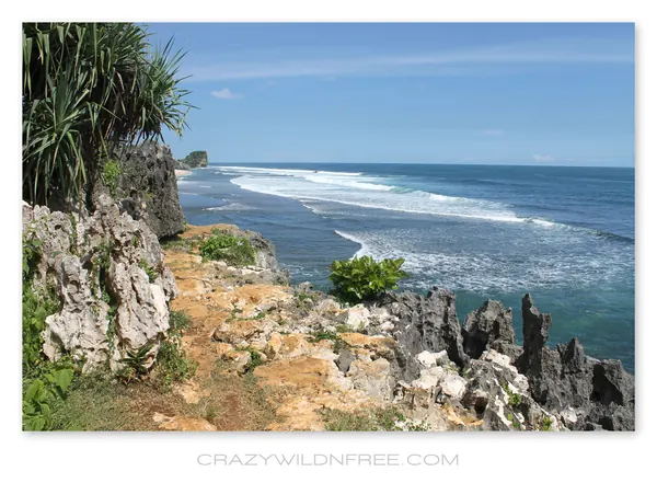 Roadtrip Java – Part II - photo 4