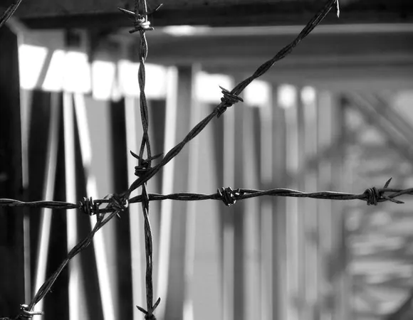 Life in Civilisation Feels Good Again - photo 6