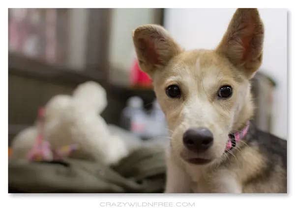 Judy's First Day in Her New Home - photo 2
