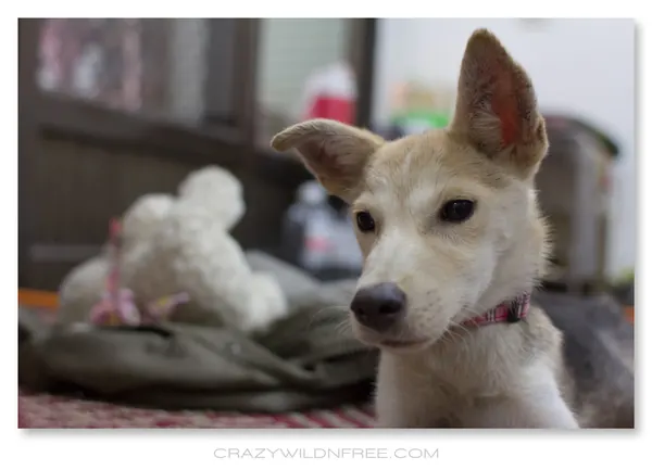 Judy's First Day in Her New Home - photo 3