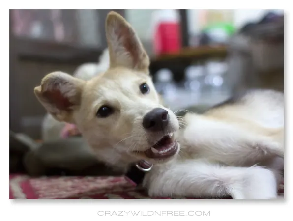 Judy's First Day in Her New Home - photo 4