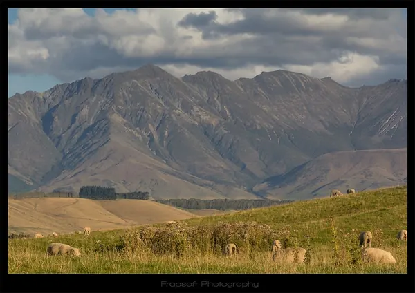 Just Another Bike Trip in New Zealand