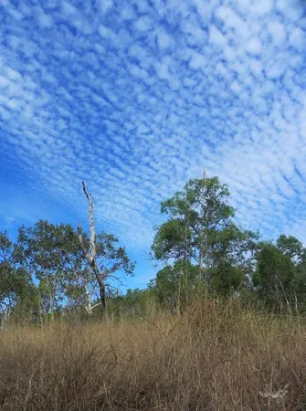 Once Again – Darwin - photo 8