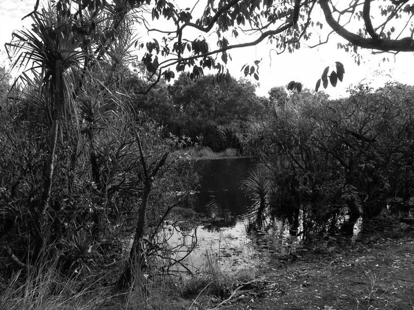 Once Again – Darwin - photo 13