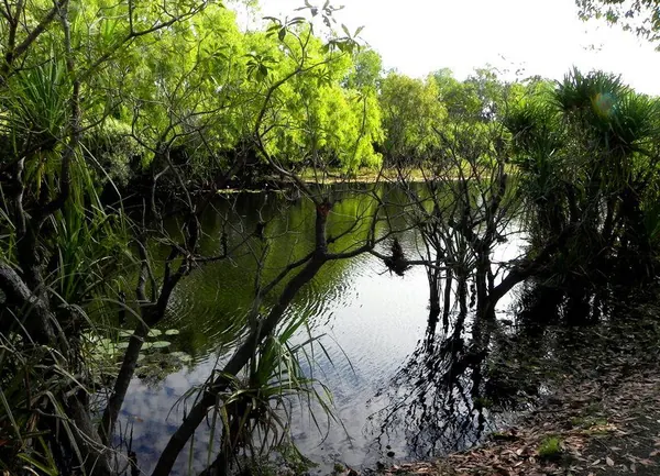 Once Again – Darwin - photo 14