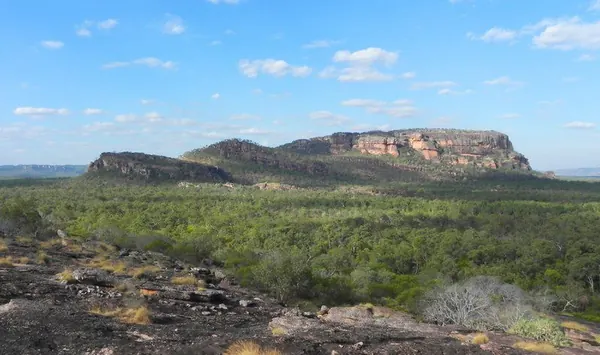 Once Again – Darwin - photo 19