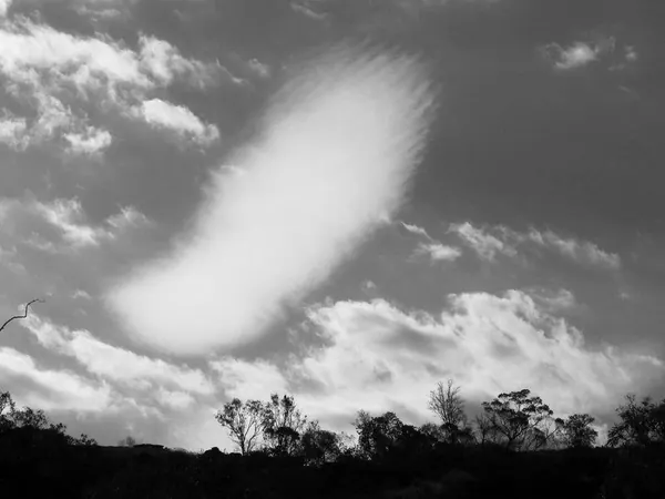 Once Again – Darwin - photo 20