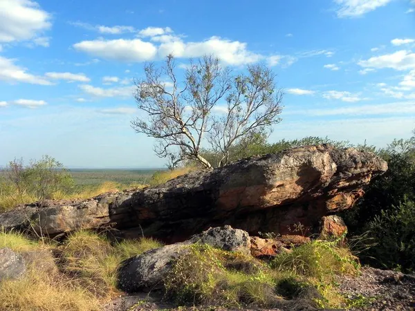 Once Again – Darwin - photo 21