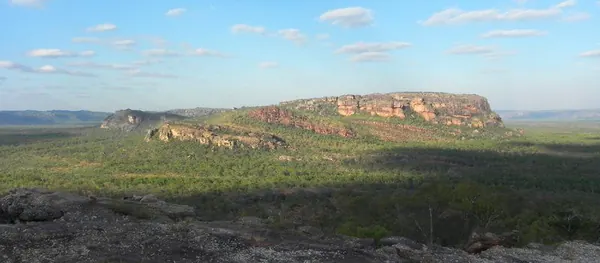 Once Again – Darwin - photo 28