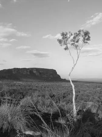 Once Again – Darwin - photo 33
