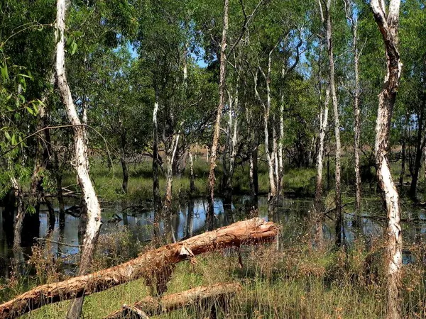 Darwin – Urban - photo 2