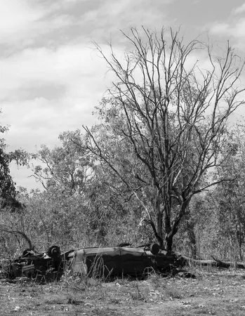 Darwin – Urban - photo 4