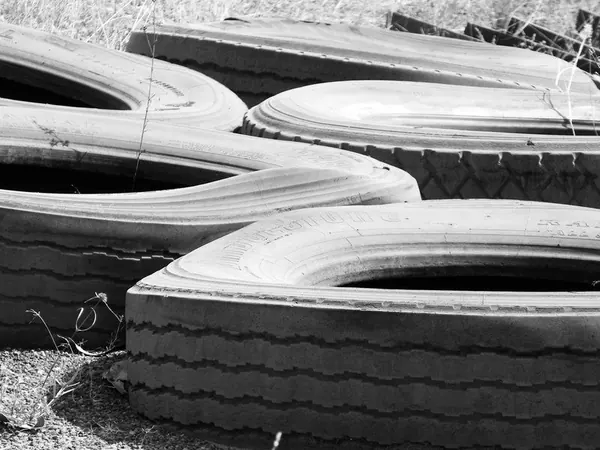 Darwin – Urban - photo 6