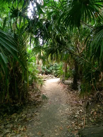 Darwin – Urban - photo 8