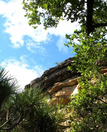 Darwin – Urban - photo 9