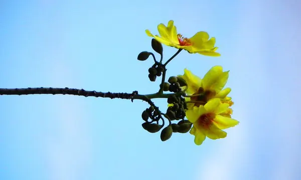 Darwin – Urban - photo 12