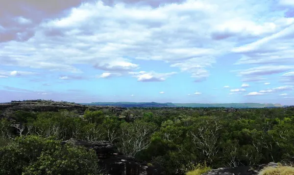 Darwin – Urban - photo 19